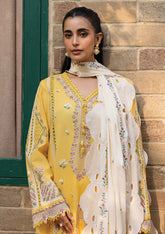 Lawn - Qalamkar - Qline - Summer 25 - QM#10 - OLENA